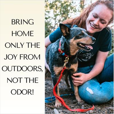 Show full view: PawFurEver's Waterproof & Odorless Dog Collar, Red & Blue, Medium slide 3 of 11