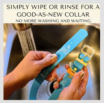 Show full view: PawFurEver's Waterproof & Odorless Dog Collar, Red & Blue, Medium slide 4 of 11