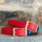 Show in main carousel: PawFurEver's Waterproof & Odorless Dog Collar, Red & Blue, Small slide 2 of 11