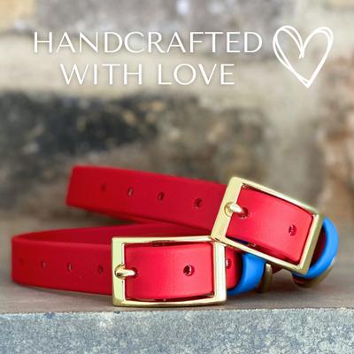 Show full view: PawFurEver's Waterproof & Odorless Dog Collar, Red & Blue, Small slide 2 of 11