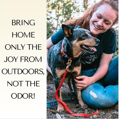 Show full view: PawFurEver's Waterproof & Odorless Dog Collar, Red & Blue, Small slide 3 of 11