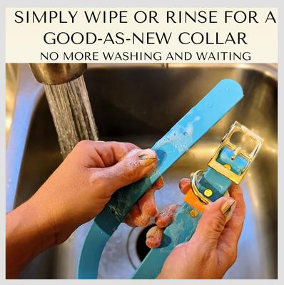 Show full view: PawFurEver's Waterproof & Odorless Dog Collar, Red & Blue, Small slide 4 of 11