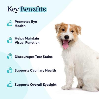 Show full view: Pawfy Eye Support Peanut Butter Flavor Supplement for Dogs, 60 count slide 4 of 8