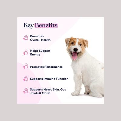 Show full view: Pawfy Multivitamin Peanut Butter Flavor Supplement for Dogs, 60 count slide 4 of 8