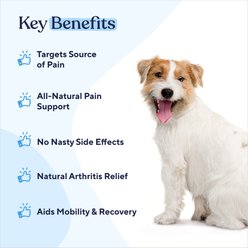 Pawfy Pain Management Bacon Flavor Chews Dog Supplement, 60 count bundle slide 2 of 6
