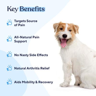 Show full view: Pawfy Pain Management Bacon Flavor Chews + Hip & Joint Chicken Flavor Dog Supplement slide 4 of 9