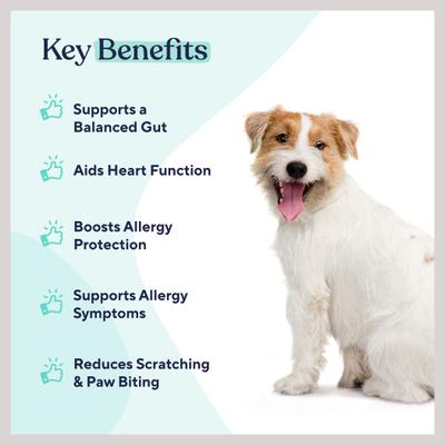 Show full view: Pawfy Probiotic Chicken Flavor Chews Dog Supplement, 60 count slide 3 of 8