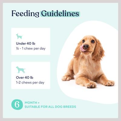 Show full view: Pawfy Probiotic Chicken Flavor Chews Dog Supplement, 60 count slide 7 of 8