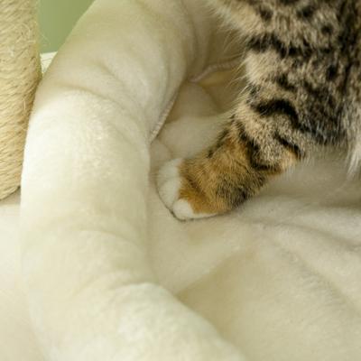 Show full view: PawHut 47-in Sisal Cat Tree, Natural slide 7 of 9