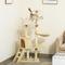Show in main carousel: PawHut 53-in Sisal Cat Tree, Beige slide 3 of 10