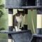 Show in main carousel: PawHut 81-in Cat Tree for Large Cats, Dark Gray slide 9 of 11