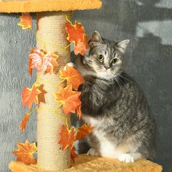 PawHut 95-in Adjustable Height Plush Floor-to-Ceiling Cat Tree, Orange slide 2 of 9