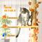 Show in main carousel: PawHut 95-in Adjustable Height Plush Floor-to-Ceiling Cat Tree, Orange slide 6 of 10
