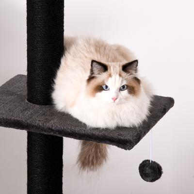 Show full view: PawHut 96.5-in Adjustable Condo with Jute Scratching Post & Dangling Ball Cat Tree, Grey slide 8 of 9