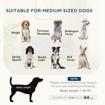 Show full view: PawHut Anti-Slip Elevated Dog Sofa Bed, Gray, 37.75-in slide 8 of 11