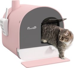 PawHut Cat Litter Box with Lid, Scoop, & Filter, 17-in, Pink