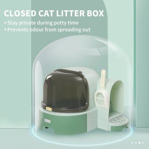 PawHut Cat Litter Box with Scoop, Green