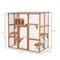 Show in main carousel: PawHut Catio Outdoor Cat House Window Box, Orange, 68 x 35.5 x 70.5-in slide 3 of 10