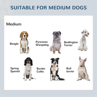 Show full view: PawHut Elevated Dog Bowls, Black, Short slide 7 of 9