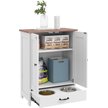 PawHut Elevated Dog Feeding Station with Hidden Bowls