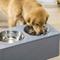 Show in main carousel: PawHut Elevated Large-Dog Bowls with Storage, Gray slide 9 of 11