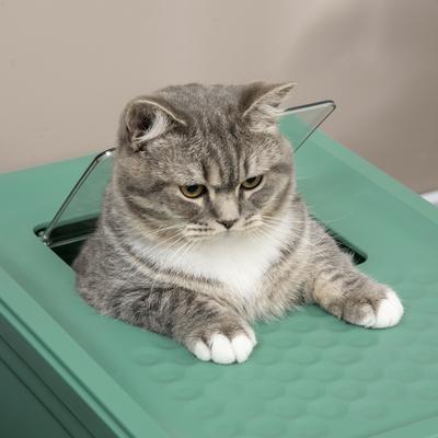 Show full view: PawHut Fully Enclosed Cat Litter Box with Front Entry, Top Exit, 19-in, Green slide 8 of 9
