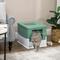 Show in main carousel: PawHut Fully Enclosed Cat Litter Box with Front Entry, Top Exit, 19-in, Green slide 2 of 9
