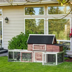 PawHut Garden Backyard Outdoor House Wooden with Nesting Box, Double Runs, Asphalt Roof & Ramp Chicken Coop, 114.25 x 28 x 46.75-in