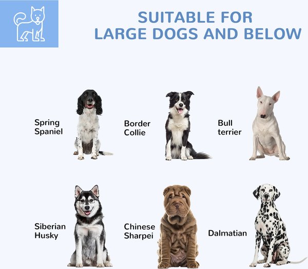 Show full view: PawHut Medium & Large Dog Outdoor Kennel, 6.9 x 6.1 x 4.9-ft slide 4 of 10