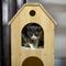Show in main carousel: PawHut Modern 53-in Cat Tree with Scratchers & Wheel, Natural Wood, 31.5 x15.75 x 53.25-in slide 8 of 9