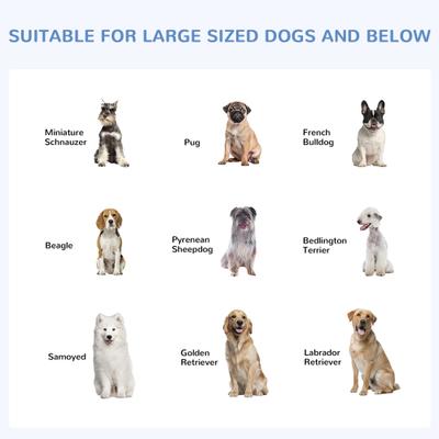 Show full view: PawHut Outdoor Dog Kennel, Steel, 9.8 x 9.8 x 7.7-ft slide 7 of 9