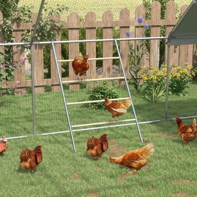 Show full view: PawHut Perch & Steel Jungle Gym Chicken Coop Accessories slide 2 of 9