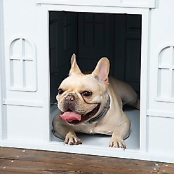PawHut Plastic Dog House with Door, Blue slide 2 of 9