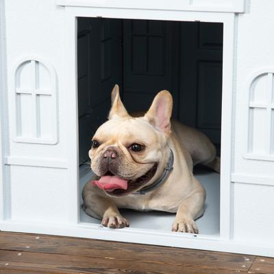Show full view: PawHut Plastic Dog House with Door, Blue slide 9 of 10