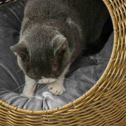 PawHut Rattan Elevated Cat Bed with Removable Cover, Brown, 19.7-in slide 2 of 9