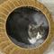 Show in main carousel: PawHut Rattan Elevated Cat Bed with Removable Cover, Brown, 19.7-in slide 7 of 10