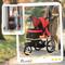Show in main carousel: PawHut Small & Medium Dog Stroller, Red slide 3 of 10