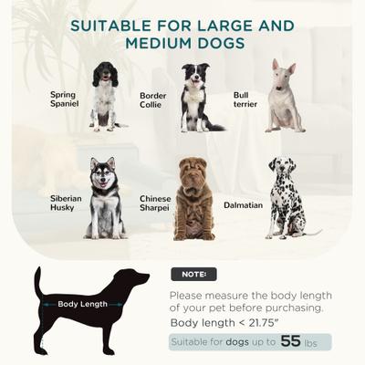 Show full view: PawHut Soft Foam Elevated Dog Sofa Bed, 39.25-in, Teal slide 7 of 9