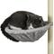 Show in main carousel: PawHut Wall Mounted Cat Shelves, 5 count, Gray slide 9 of 9