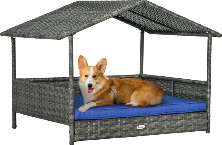 Image showcasing Dog Hammock (Free Shipping) | Chewy