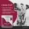 Show in main carousel: Pawlife Cran Pup Advanced Urinary Tract Support Chicken Flavor Soft Chews Dog Supplement, 120 count slide 4 of 7