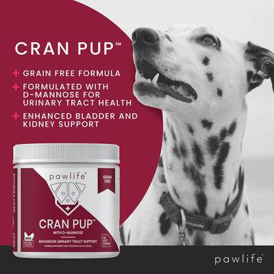 Show full view: Pawlife Cran Pup Advanced Urinary Tract Support Chicken Flavor Soft Chews Dog Supplement, 120 count slide 4 of 7