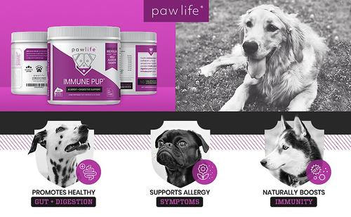 Show full view: Pawlife Immune Pup Allergy + Digestive Support Salmon Flavor Soft Chews Dog Supplement, 120 count slide 4 of 9