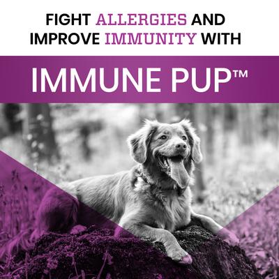 Show full view: Pawlife Immune Pup Allergy + Digestive Support Salmon Flavor Soft Chews Dog Supplement, 120 count slide 7 of 9