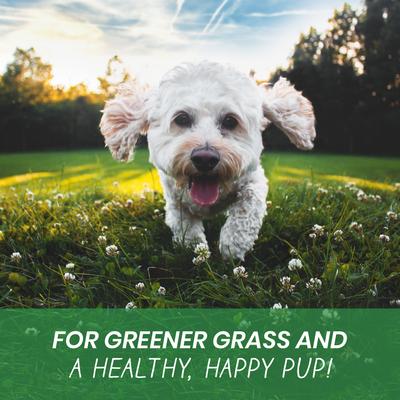 Show full view: Pawlife Turf Treats Lawn Burn Protection Urinary & Digestive Support Chicken Flavor Soft Chews Dog Supplement, 120 count slide 6 of 7