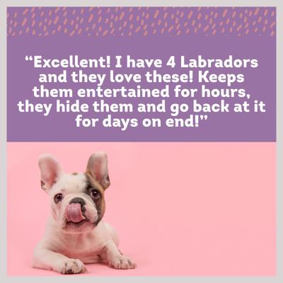 Show full view: PawLove 1.5-in Peanut Butter Happy Hooves Dog Treat, 4 count slide 5 of 7