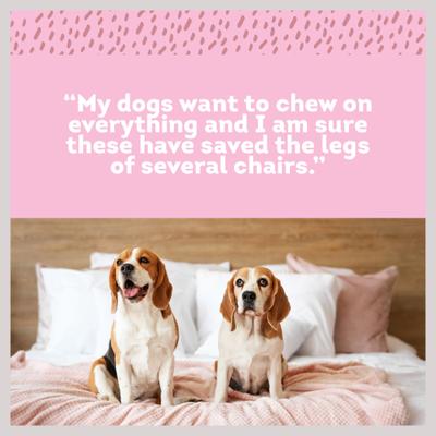 Show full view: PawLove 12-in Peanut Butter I Can't Believe It's Not Dog Treat, 4 count slide 5 of 7