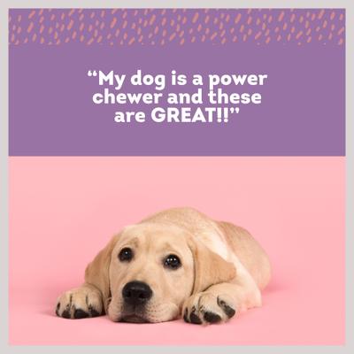 Show full view: PawLove 5.5-in Bacon Cheese Stuffed Shin Bone Dog Treat, 2 count slide 4 of 6