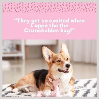 Show full view: PawLove 5-in Beef Crunchables Dog Treat, 6 count slide 5 of 8