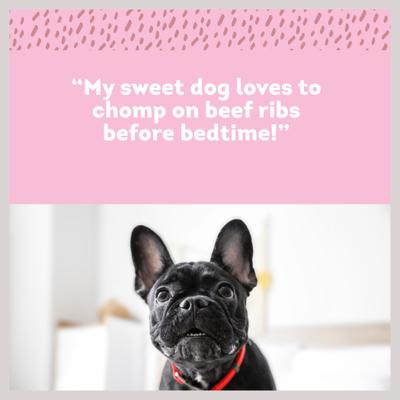 Show full view: PawLove 5-in Beef Rib Bones Dog treat, 8 count slide 4 of 6